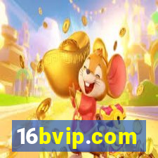 16bvip.com