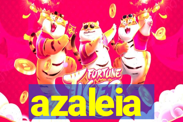 azaleia-br.com