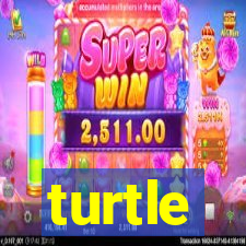 turtle-ty.com