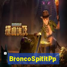 BroncoSpititPp