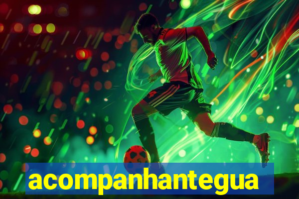 acompanhanteguanambi