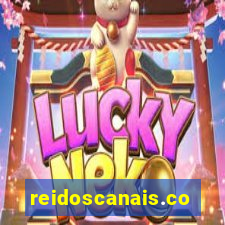 reidoscanais.com