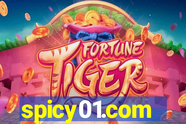 spicy01.com