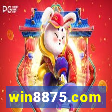 win8875.com